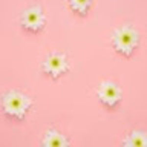 Meet your Posher, Jesleen